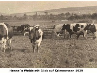 d06 - Hennes Weide mit Blick auf Krimmensen 1929